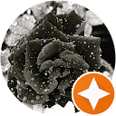 Chikky Garden profile picture
